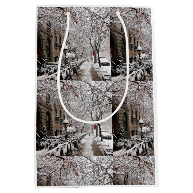 Snow Magic on 23rd St NYC Medium Gift Bag (Front)