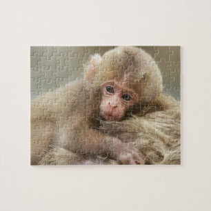 Snow Monkey Baby, Jigokudani, Nagano, Japan 2 Jigsaw Puzzle