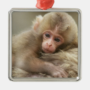 Snow Monkey Baby, Jigokudani, Nagano, Japan 2 Metal Tree Decoration