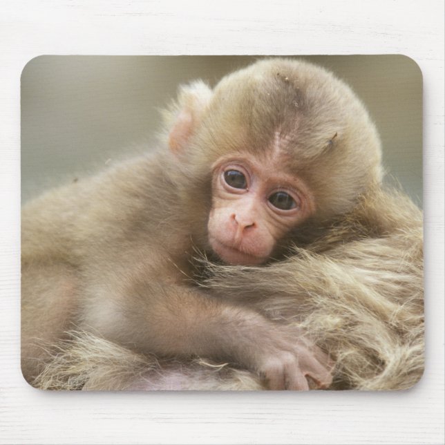 Snow Monkey Baby, Jigokudani, Nagano, Japan 2 Mouse Mat (Front)