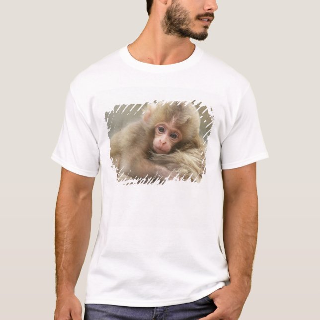 Snow Monkey Baby, Jigokudani, Nagano, Japan 2 T-Shirt (Front)