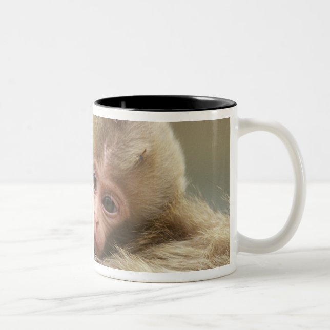 Snow Monkey Baby, Jigokudani, Nagano, Japan 2 Two-Tone Coffee Mug (Right)