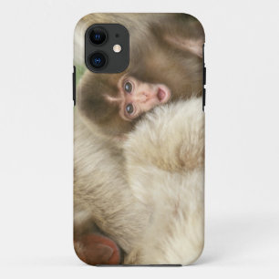 Snow Monkey Baby, Jigokudani, Nagano, Japan iPhone 11 Case