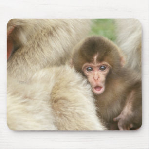 Snow Monkey Baby, Jigokudani, Nagano, Japan Mouse Mat