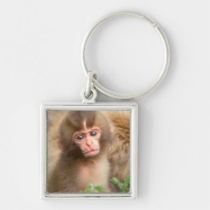 Snow Monkey Baby Portrait Key Ring