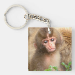 Snow Monkey Baby Portrait Key Ring