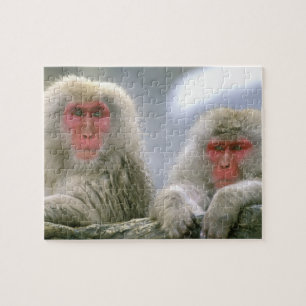 Snow Monkey Couple, Japanese Macaque, Jigsaw Puzzle