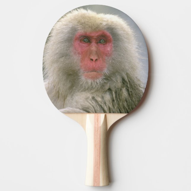 Snow Monkey Couple, Japanese Macaque, Ping Pong Paddle (Front)