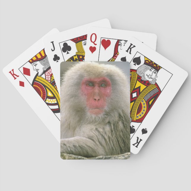 Snow Monkey Couple, Japanese Macaque, Playing Cards (Back)