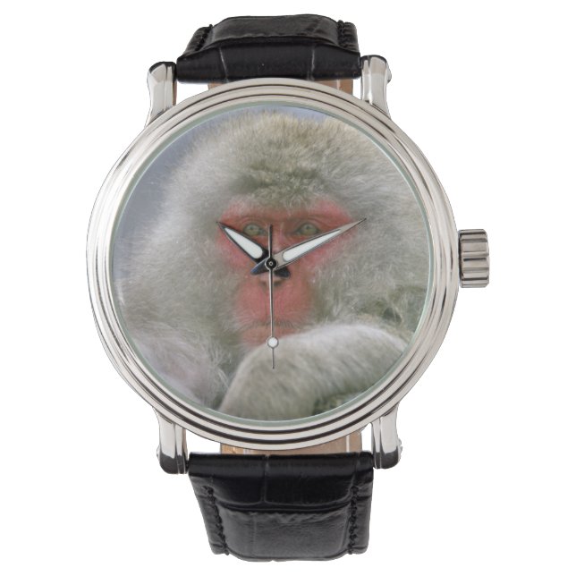 Snow Monkey Couple, Japanese Macaque, Watch (Front)