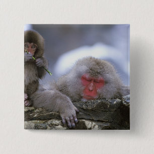 Snow Monkey Mother & Child, Jigokudani, Nagano, 15 Cm Square Badge