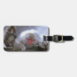 Snow Monkey Mother & Child, Jigokudani, Nagano, Luggage Tag