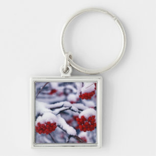 Snow on European Mountain Ash Berries, Utah. Key Ring