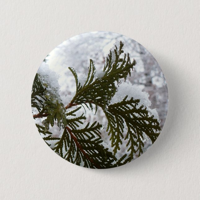Snow on Evergreen Branches 6 Cm Round Badge (Front)