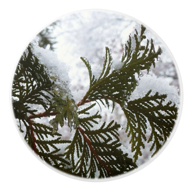 Snow on Evergreen Branches Ceramic Knob (Front)