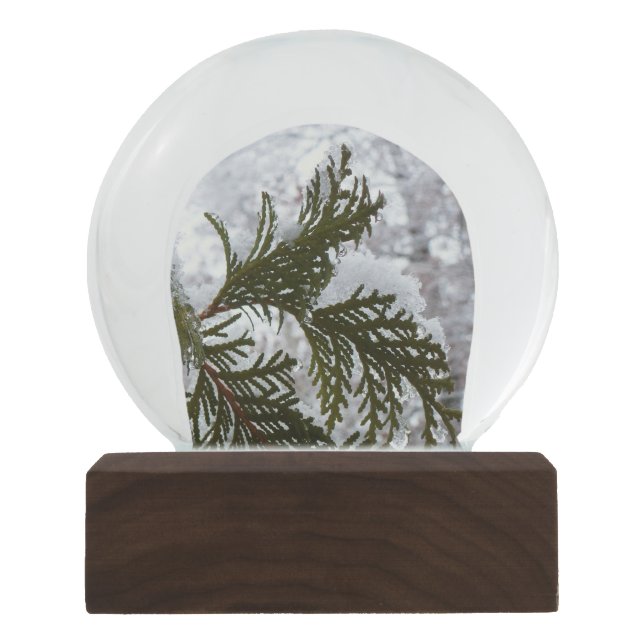 Snow on Evergreen Branches Globe (Front)