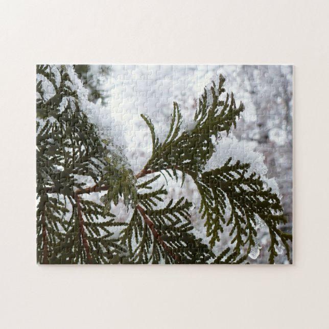 Snow on Evergreen Branches Jigsaw Puzzle (Horizontal)