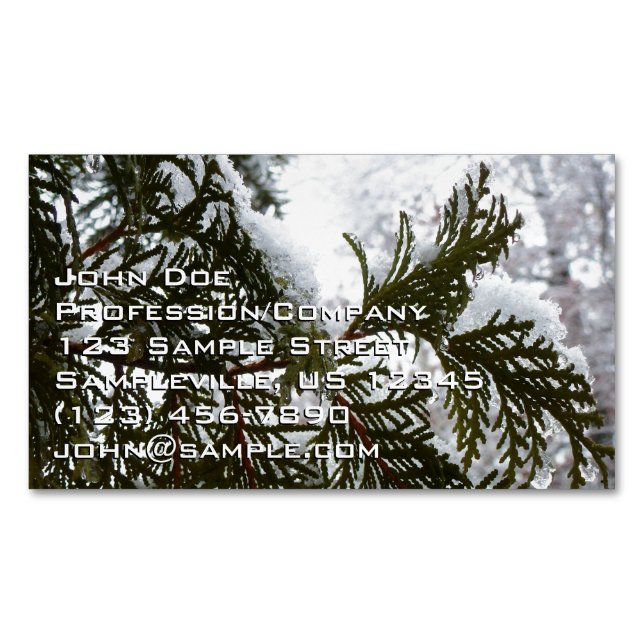 Snow on Evergreen Branches Magnetic Business Card (Front)