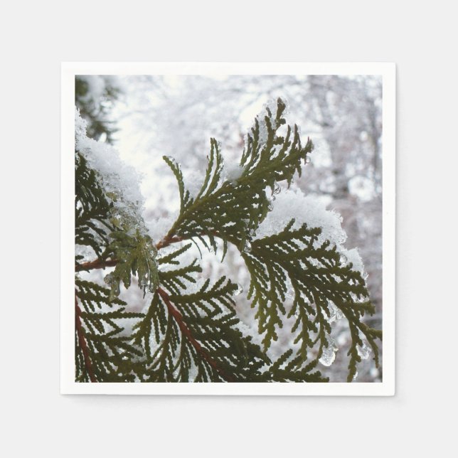 Snow on Evergreen Branches Napkin (Front)