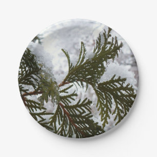 Snow on Evergreen Branches Paper Plate