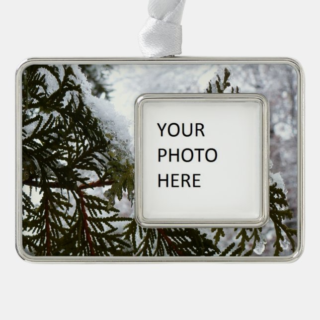 Snow on Evergreen Branches Silver Plated Framed Ornament (Front)
