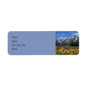 Snow on Grand Teton National Park in Spring