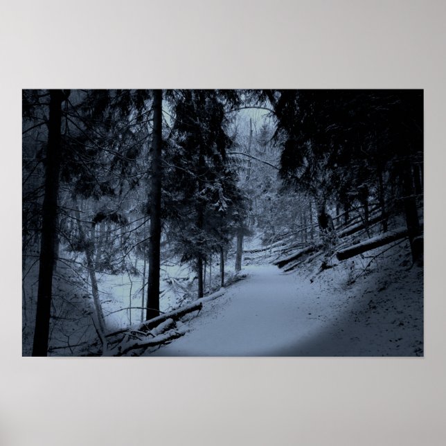 Snow on Hiking Trail 3 Poster (Front)