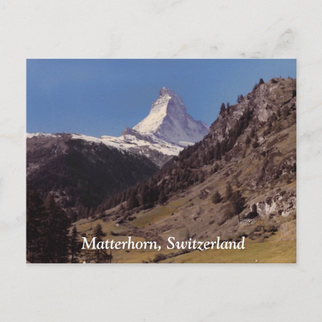 Snow on Matterhorn Blue Sky Alpine Forest Postcard (Front)