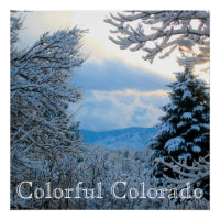 Snow on Pine Trees in Colorado Rocky Mountains Pos
