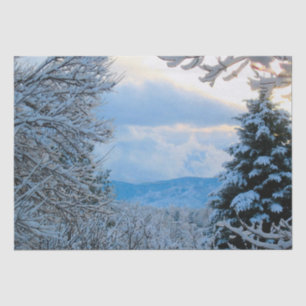 Snow on Pine Trees in Colorado Rocky Mountains Tissue Paper