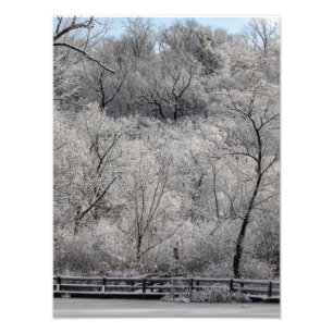Snow On The Pond Photo Print