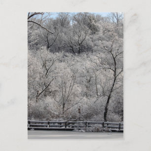 Snow On The Pond Postcard
