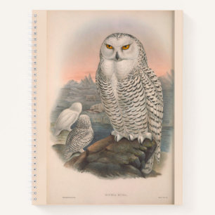 Snow Owl and Falcon Hardcover Spiral Sketchbook Notebook