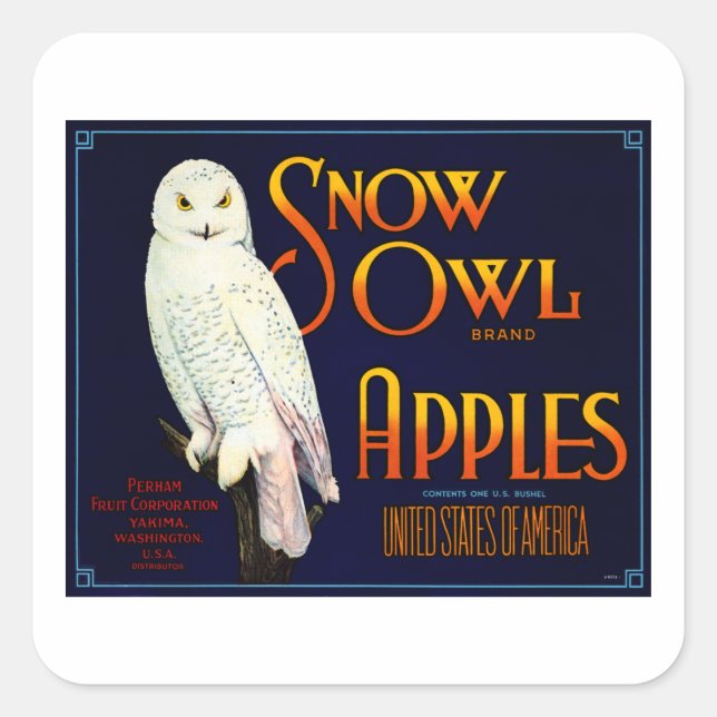 Snow Owl Apples Square Sticker (Front)