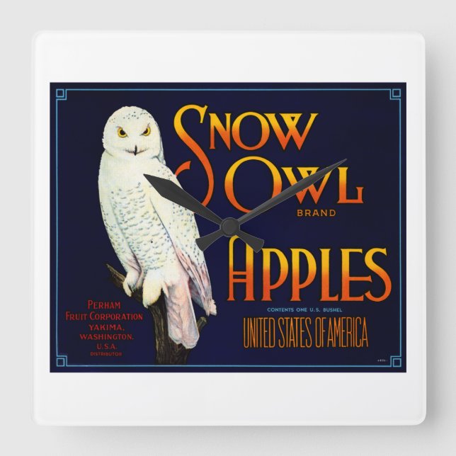 Snow Owl Apples Square Wall Clock (Front)