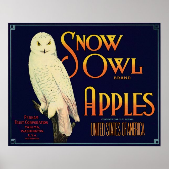 Snow Owl Brand Apples Crate Label Poster (Front)