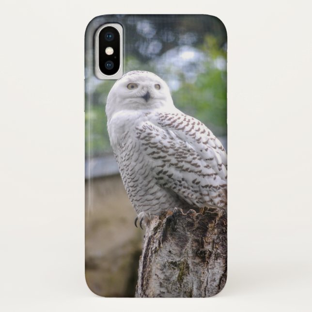 Snow owl Case-Mate iPhone case (Back)