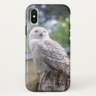 Snow owl... iPhone x case