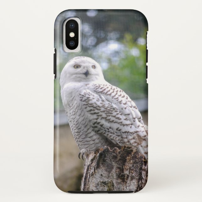 Snow owl... Case-Mate iPhone case (Back)