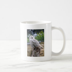 Snow owl coffee mug