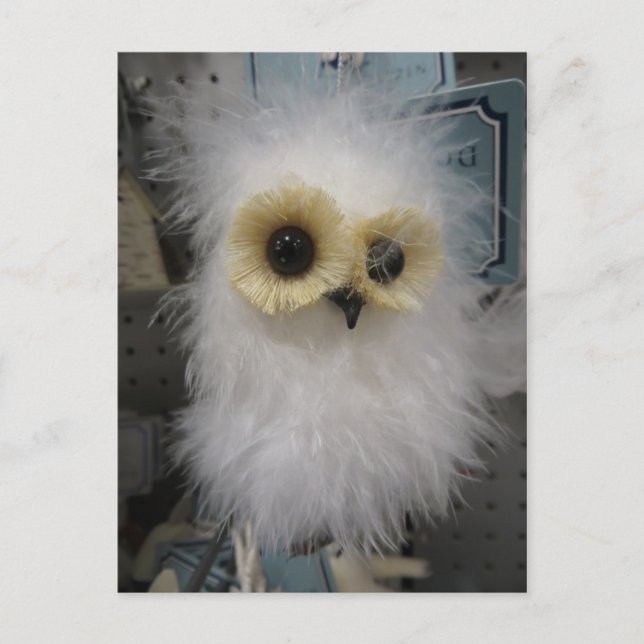 Snow Owl Decoration Postcard (Front)