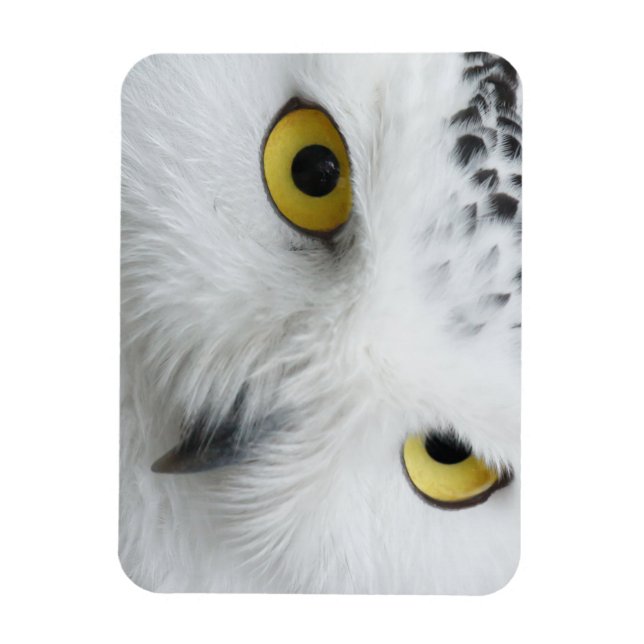 Snow Owl Eyes Magnet (Vertical)
