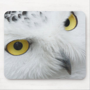 Snow Owl Eyes Mouse Mat