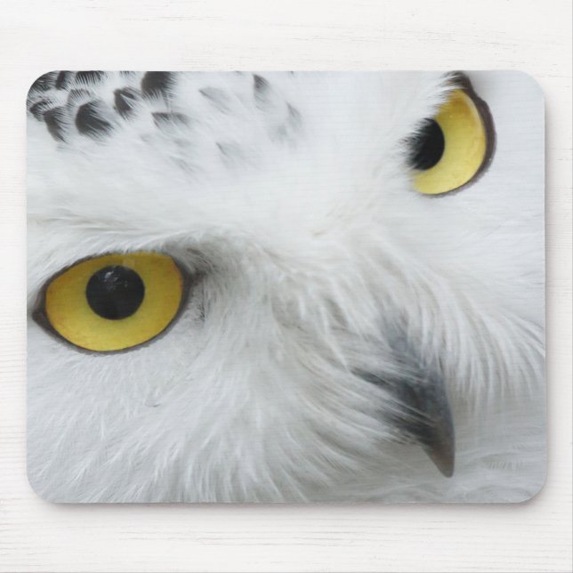Snow Owl Eyes Mouse Mat (Front)