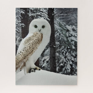 Snow Owl  Jigsaw Puzzle
