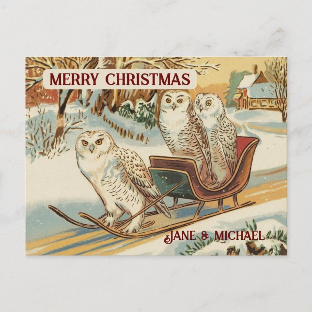 Snow Owl Merry Christmas Name  Postcard (Front)