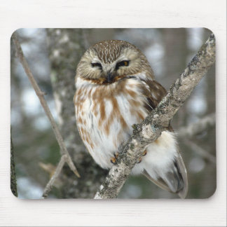 Snow Owl Mouse Mat