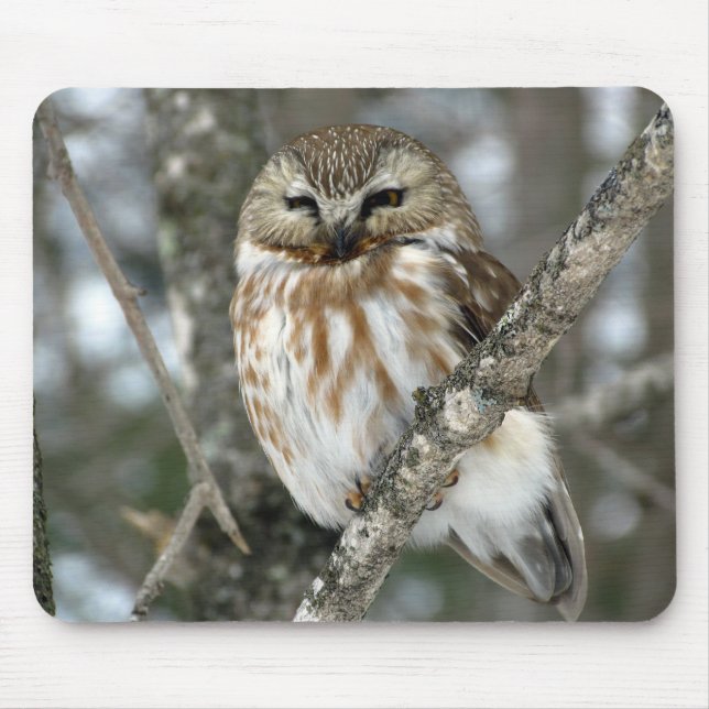 Snow Owl Mouse Mat (Front)