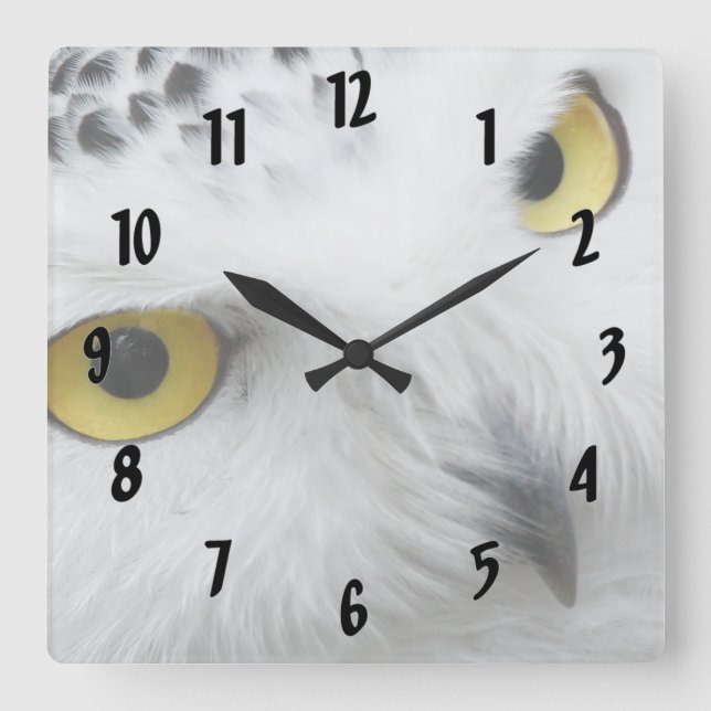 Snow Owl Square Wall Clock (Front)