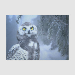 snow owl tissue paper